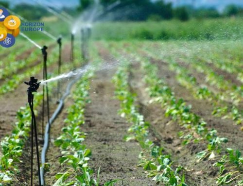 HORIZON EUROPE: Improving irrigation practices and technologies in agriculture